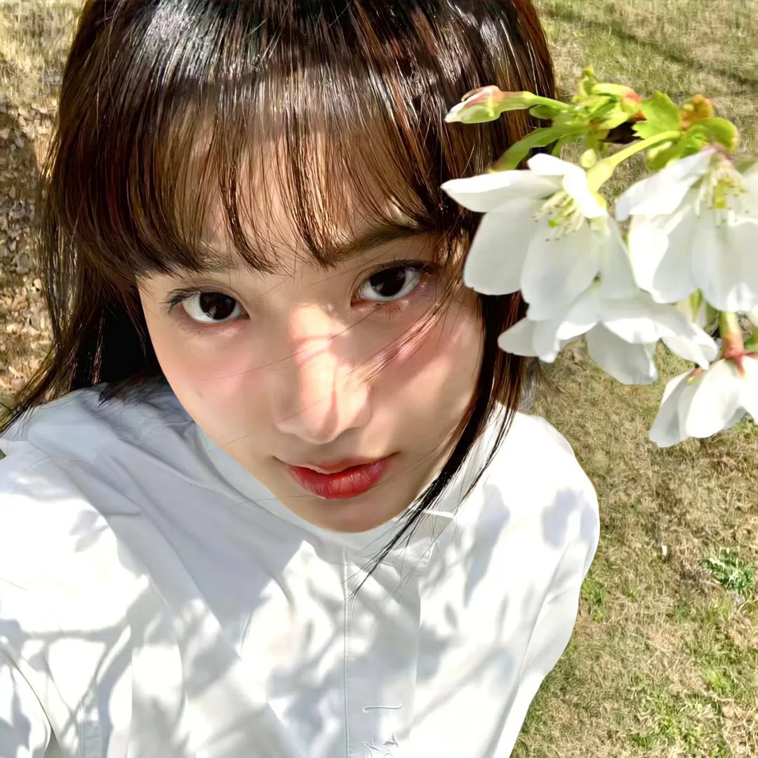 搏击芭蕾 在线观看